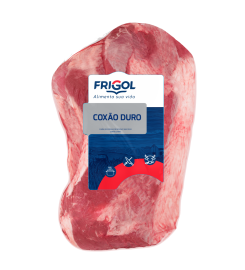 FRIGOL SA