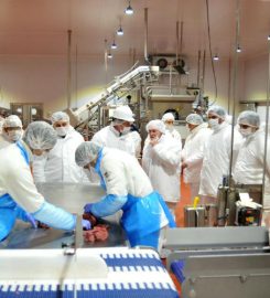 SA IMPORTADORA Y EXPORTADORA DE LA PATAGONIA