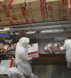 SANTA FAZ SOCIEDAD ANONIMA