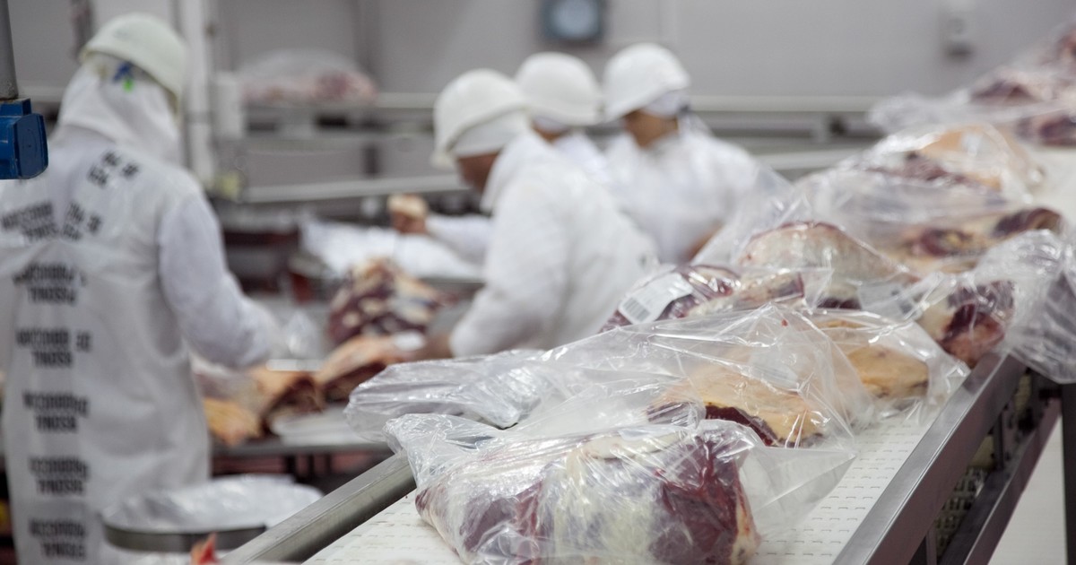 SANTA FAZ SOCIEDAD ANONIMA