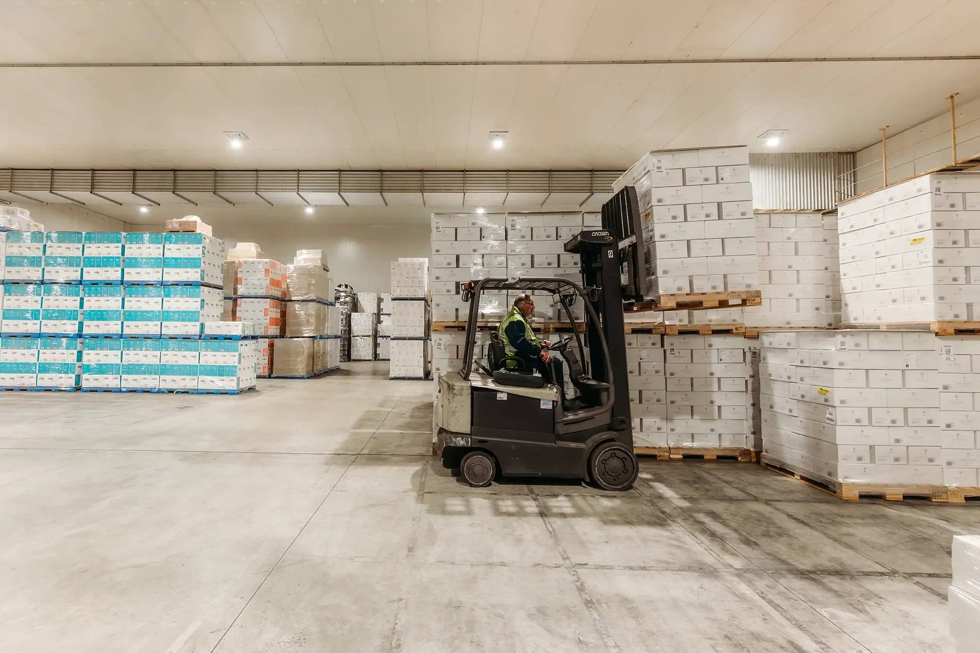 Cold Storage Tauranga Limited