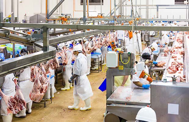 Silver Fern Farms Limited –Takapau