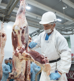 SA IMPORTADORA Y EXPORTADORA DE LA PATAGONIA