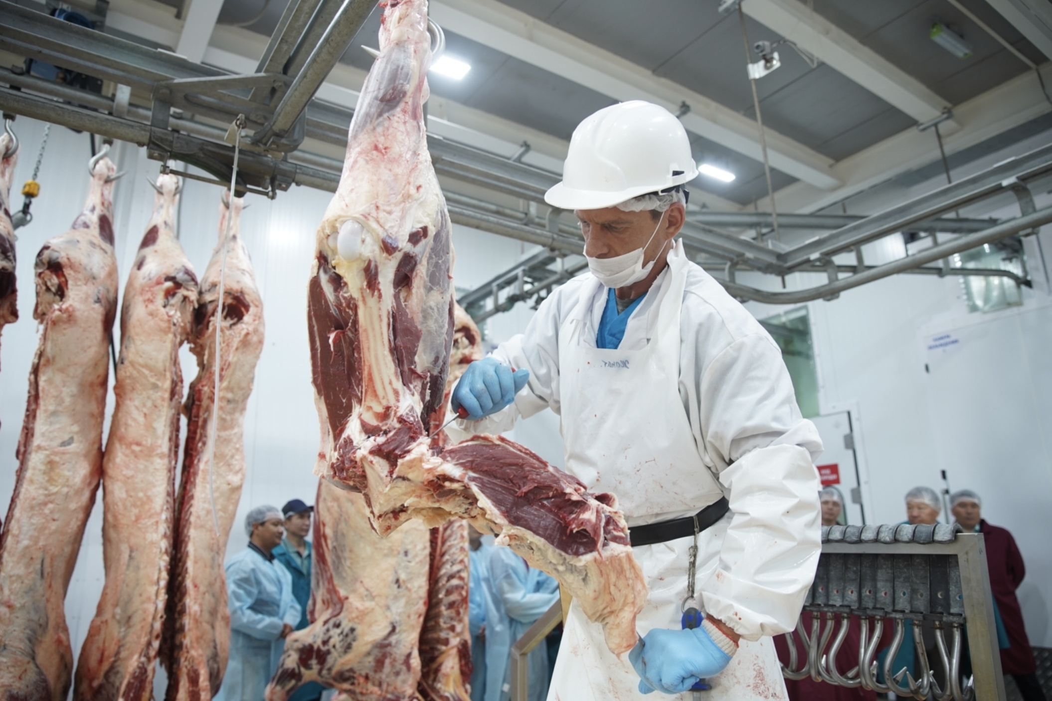 SA IMPORTADORA Y EXPORTADORA DE LA PATAGONIA