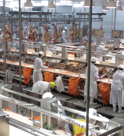 SA IMPORTADORA Y EXPORTADORA DE LA PATAGONIA