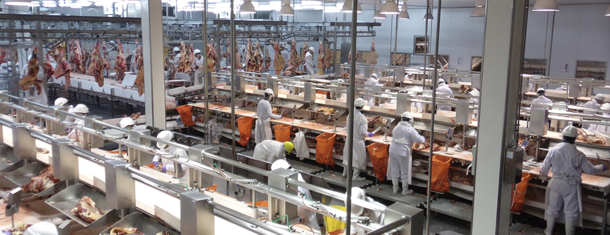 SA IMPORTADORA Y EXPORTADORA DE LA PATAGONIA