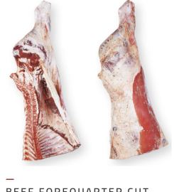 SA IMPORTADORA Y EXPORTADORA DE LA PATAGONIA