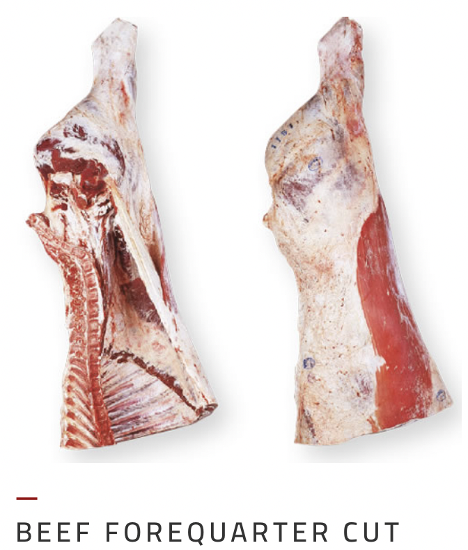 SA IMPORTADORA Y EXPORTADORA DE LA PATAGONIA