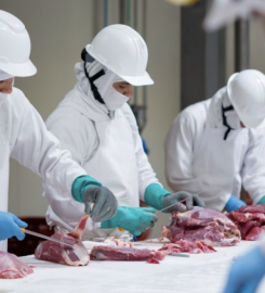 PROCESADORA GANADERA ENTRERRIANA SA