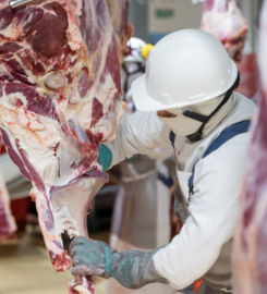 PROCESADORA GANADERA ENTRERRIANA SA