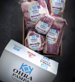 FRIGORIFICO PAMPA DE VARE SA