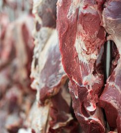 Processadora de Alimentos del Sur Limitada.