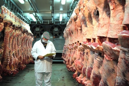 Crusader Meats New Zealand Limited