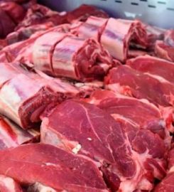 FRIGORÍFICO REGIONAL GENERAL LAS HERAS SA