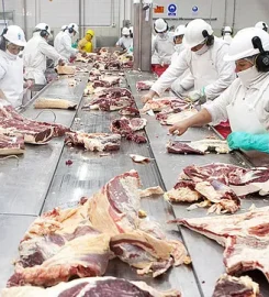 MADEKA SOCIEDAD ANONIMA