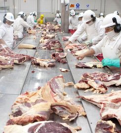 LA GANADERA ARENALES SA