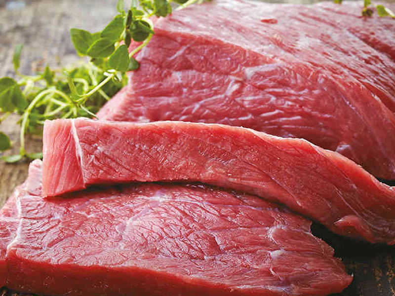 INDUSTRIAS FRIGORIFICAS RECREO SAIC