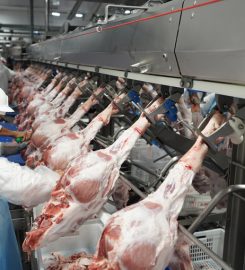 NORDESTE PECUARIA, INDUSTRIA E COMERCIO LTDA