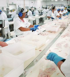 ANZCO Foods Waitara Limited