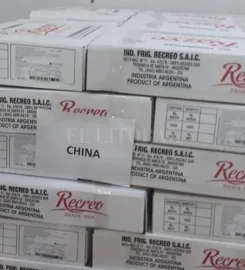 INDUSTRIAS FRIGORIFICAS RECREO SAIC