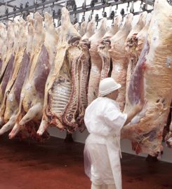 LA GANADERA ARENALES SA