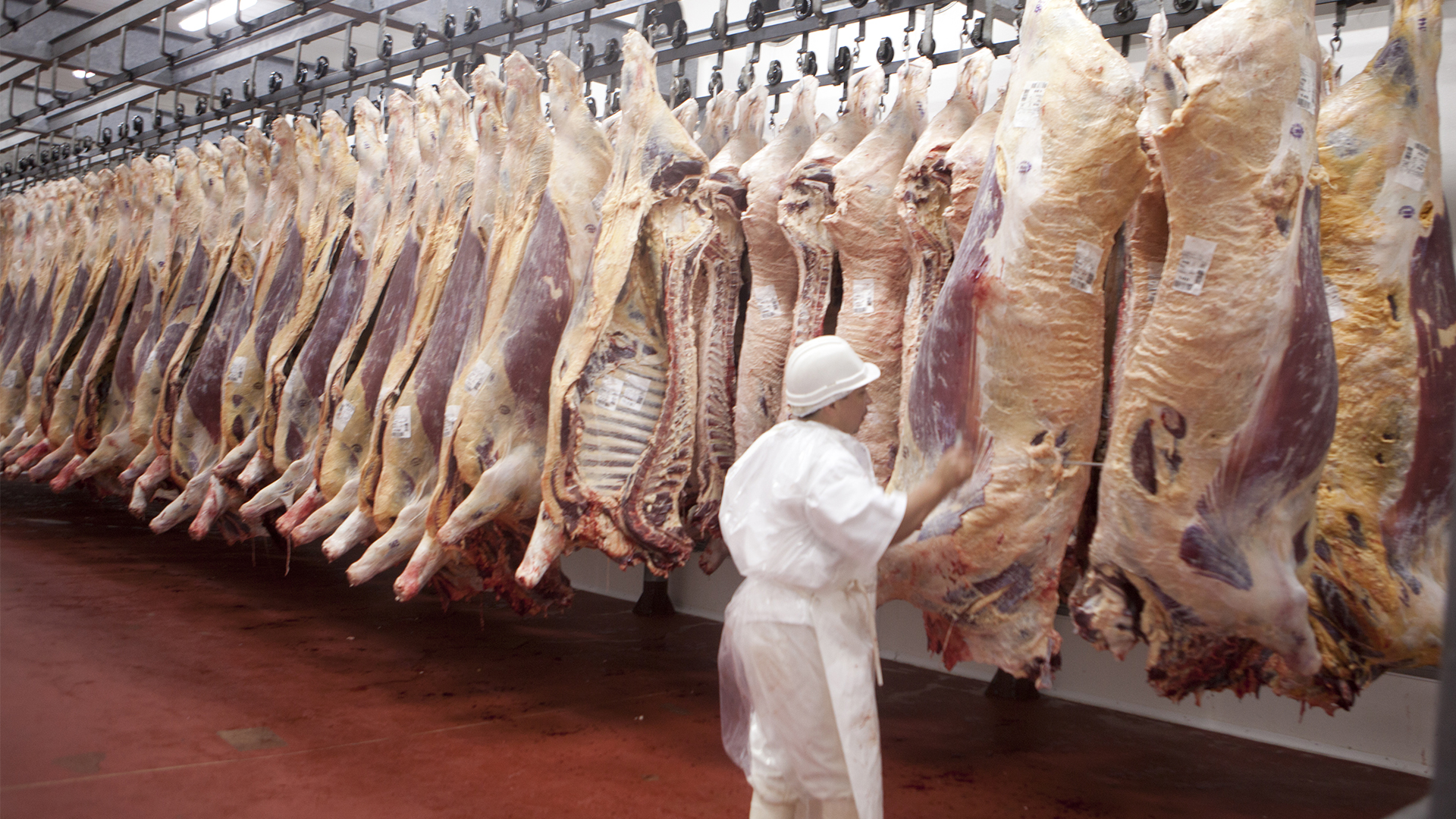 Lean Meats Oamaru Limited