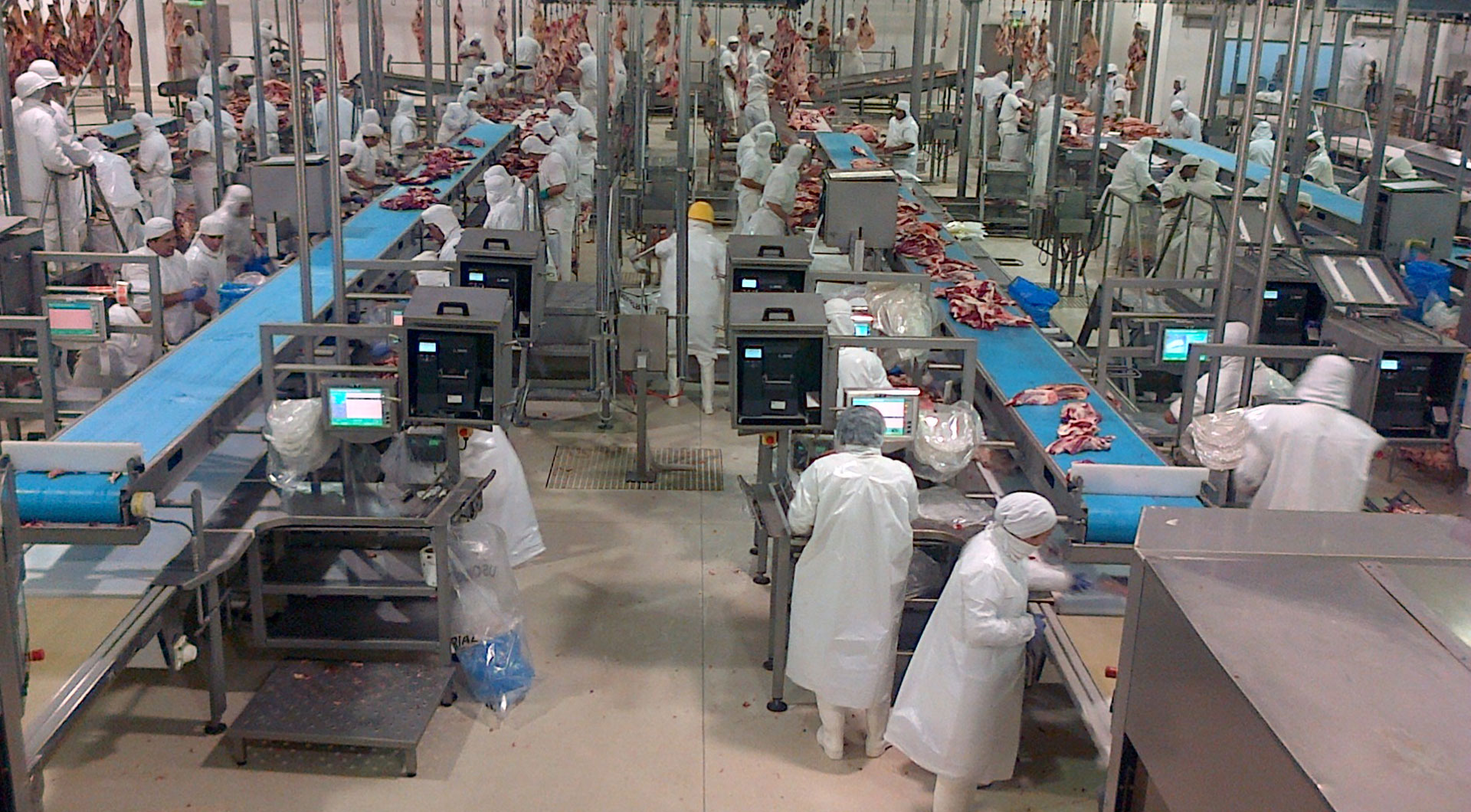 FRIGORIFICO GORINA SAIC