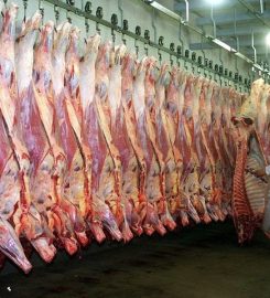 FRIGORÍFICO GENERAL PICO SA