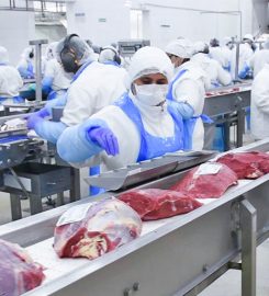 SA IMPORTADORA Y EXPORTADORA DE LA PATAGONIA