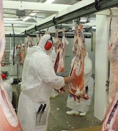 Crusader Meats New Zealand Limited