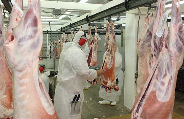 Crusader Meats New Zealand Limited