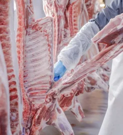 BLACK BAMBOO ENTERPRISES SA