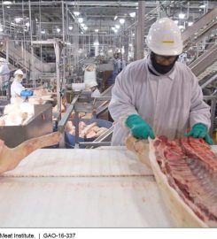 OJSC«AFIC«Zhlobin Meat Processing and Packing Factory»