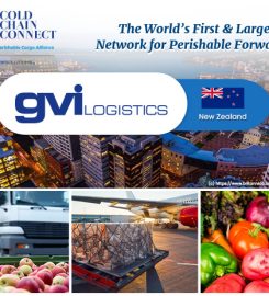 GVI Logistics Limited