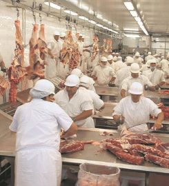 FRIGORIFICO VISOM SA