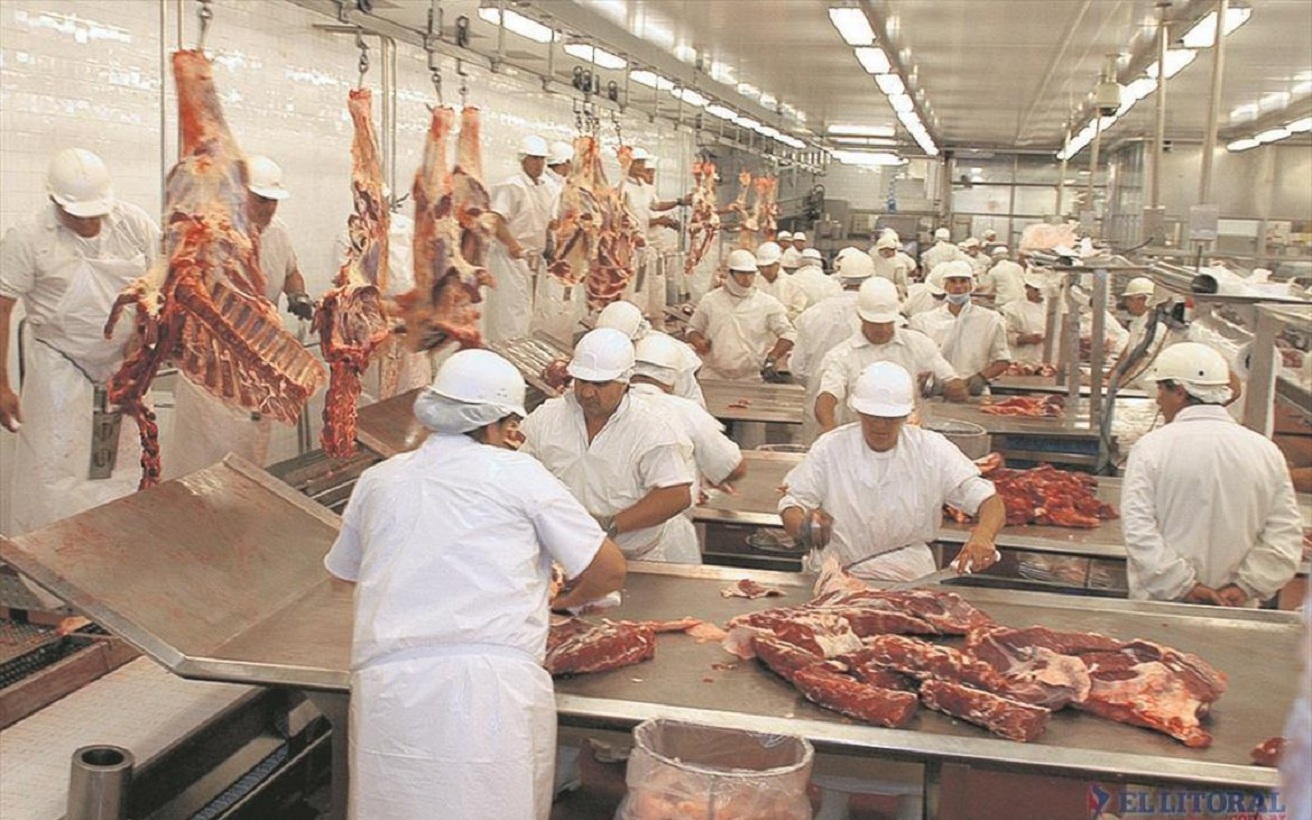 FRIGORIFICO VISOM SA