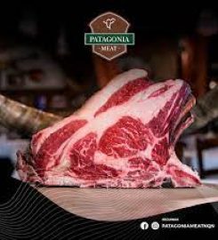 PATAGONIA MEAT SA