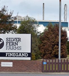 Silver Fern Farms Limited – Finegand