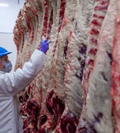 FRIGORIFICO GORINA SAIC