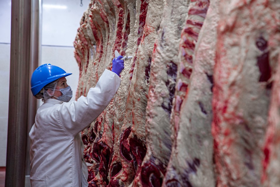 FRIGORIFICO GORINA SAIC