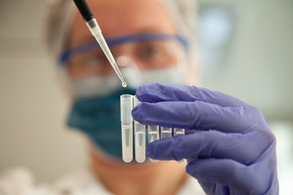 FRIGORIFICO GORINA SAIC