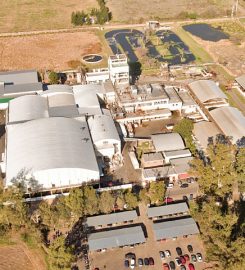 FRIGORIFICO GORINA SAIC