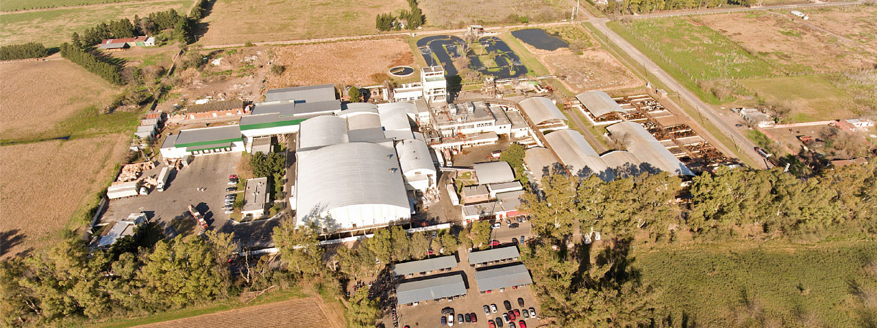 FRIGORIFICO GORINA SAIC