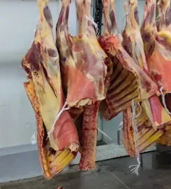 Frigorífico Temuco SA
