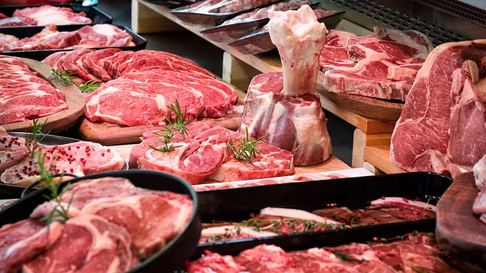 MERCURIO ALIMENTOS S/A
