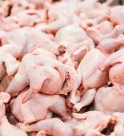 OJSC «Poultry Factory «Rassvet»