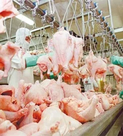 Ozark Mountain Poultry Inc.