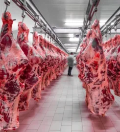 Serenade Foods, Division of Maple Leaf Farms, Inc