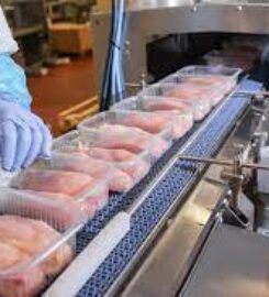 OJSC «Poultry Factory «Rassvet» Yakimova Sloboda department