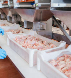 OJSC «Poultry Factory «Rassvet» Yakimova Sloboda department